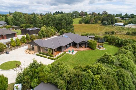 Photo of property in 19 Whio Avenue, Feilding, 4775