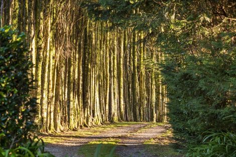 Photo of property in 104 Glue Pot Road, Oropi, Tauranga, 3173