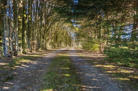 Photo of property in 104 Glue Pot Road, Oropi, Tauranga, 3173