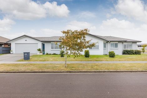 Photo of property in 3 Accolade Street, Feilding, 4702