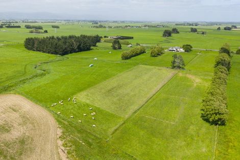 Photo of property in 1331 Rongotea Road, Kairanga, Palmerston North, 4475