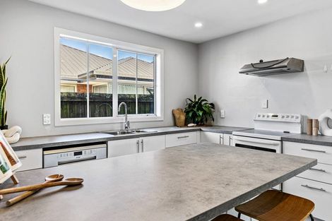 Photo of property in 49 Harker Street, Spreydon, Christchurch, 8024