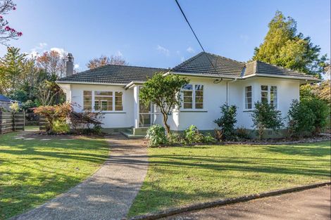 Photo of property in 29 Macarthur Street, Levin, 5510