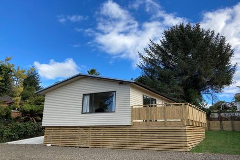 Photo of property in 91c Arapuni Street, Putaruru, 3411
