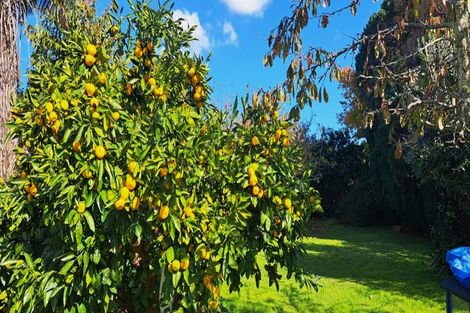 Photo of property in 70 Thames Road, Paeroa, 3600