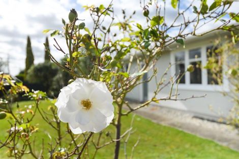 Photo of property in 15b Elizabeth Street, Feilding, 4702