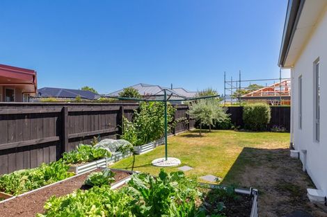 Photo of property in 56 Purkiss Street, Springlands, Blenheim, 7201