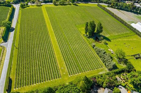 Photo of property in 158 Murrays Road, Spring Creek, Blenheim, 7273