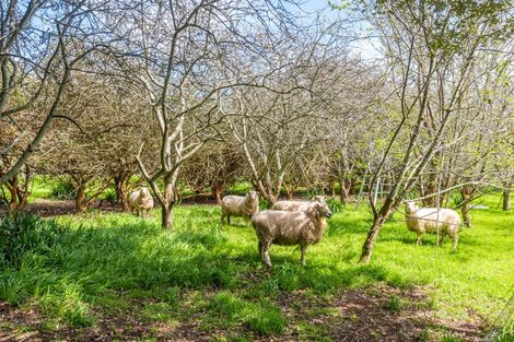 Photo of property in 35 Whelans Road, Levin, 5571