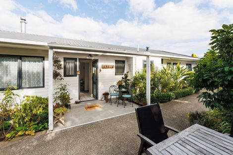 Photo of property in 101 Lincoln Street, Ashhurst, 4810