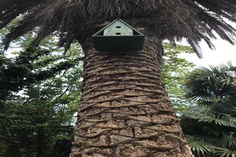 Photo of property in 51 Manson Street, Gate Pa, Tauranga, 3112