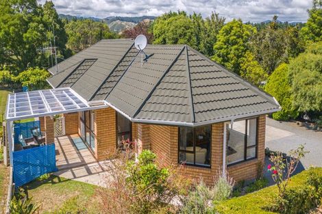 Photo of property in 223 Heatherlea East Road, Levin, 5571