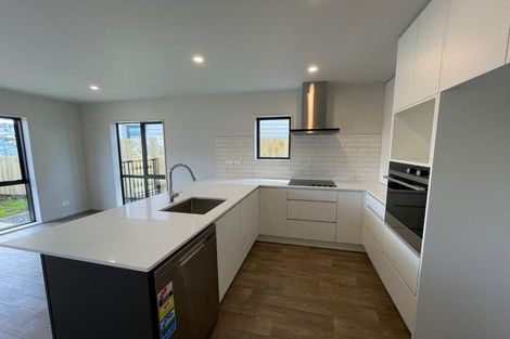 Photo of property in 68 Matawhanga Drive, Wattle Downs, Auckland, 2103