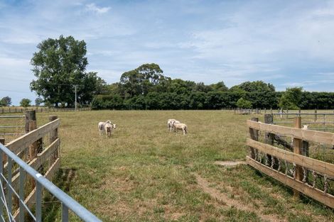 Photo of property in 104 Ferry Road, Clive, 4102