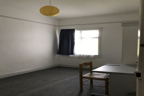 Photo of property in 119 Wallace Street, Mount Cook, Wellington, 6021