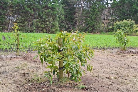 Photo of property in 1 Journeys End, Tapora, Wellsford, 0977