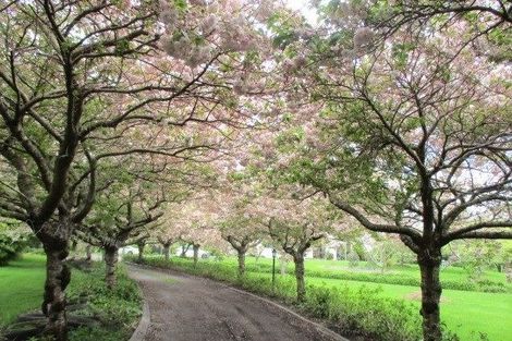 Photo of property in 123 Brunswick Drive, Tikitere, Rotorua, 3074