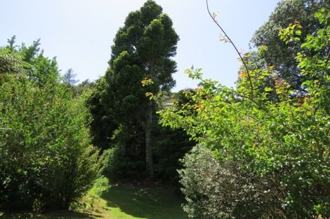 Photo of property in 46 James Street, Coromandel, 3506