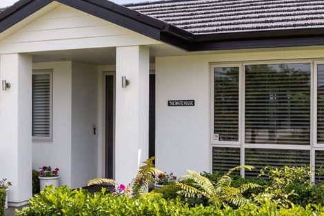 Photo of property in 19 Lochhead Street, Mahora, Hastings, 4120