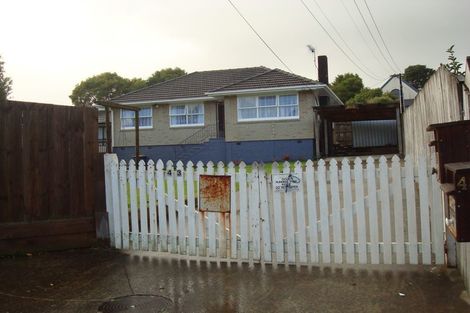 Photo of property in 43 Blease Street, New Lynn, Auckland, 0600