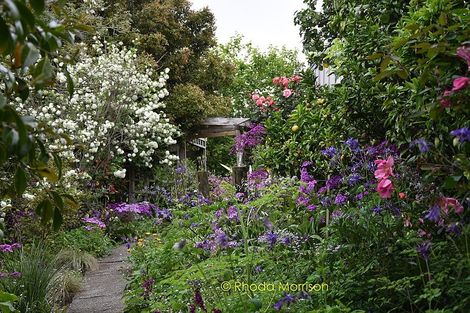 Photo of property in 229 Pahi Road, Pahi, Paparoa, 0571