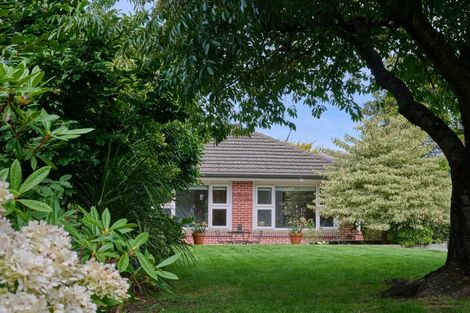 Photo of property in 115 Saint Martins Road, Saint Martins, Christchurch, 8022