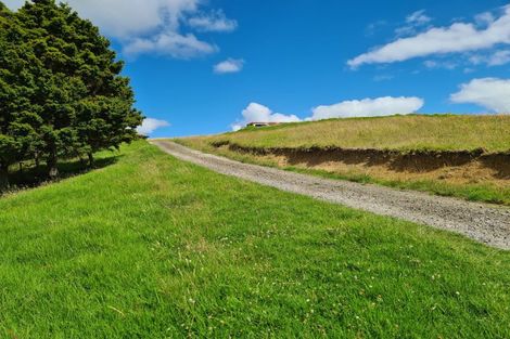 Photo of property in 304 Arapaoa Road, Tinopai, Matakohe, 0593