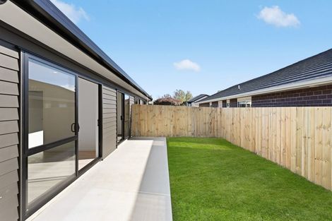 Photo of property in 17 Fend Street, Chartwell, Hamilton, 3210