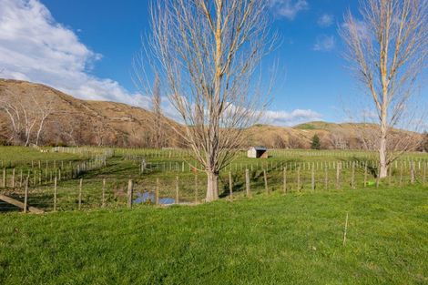 Photo of property in 60 River Road, Otane, Waipawa, 4271