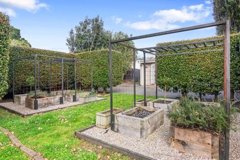 Photo of property in 19 Telford Avenue, Mount Eden, Auckland, 1041