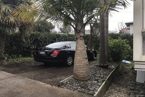 Photo of property in 28 Lloyd Avenue, Mount Albert, Auckland, 1025