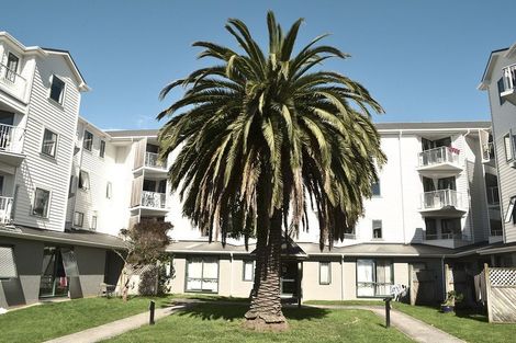 Photo of property in Palm Grove Apartments, 1/13c Palm Grove, Berhampore, Wellington, 6023
