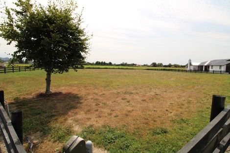 Photo of property in 24 Eldonwood Drive, Matamata, 3400