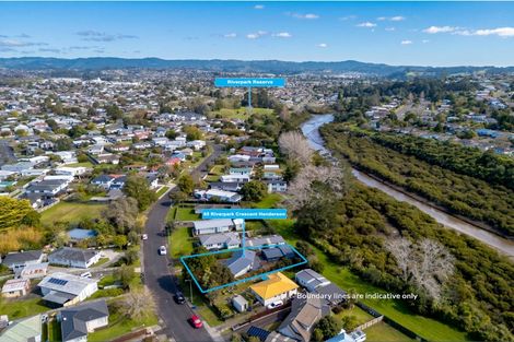 Photo of property in 85 Riverpark Crescent, Henderson, Auckland, 0610