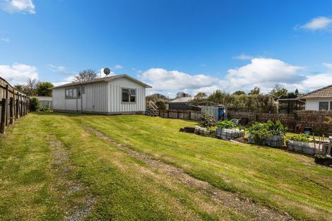 Photo of property in 40 Neal Street, Putaruru, 3411