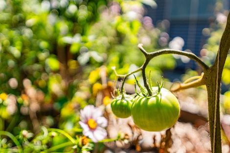 Photo of property in 8 Grove Road, Mangawhai Heads, Mangawhai, 0505