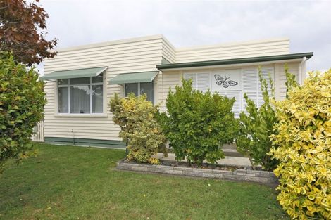 Photo of property in 417 Massey Street, Akina, Hastings, 4122