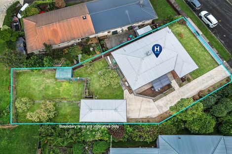 Photo of property in 13 Albert Street, Paeroa, 3600