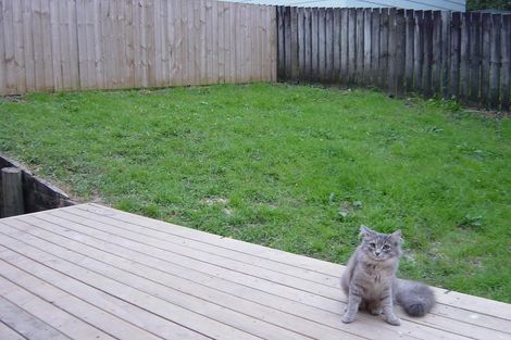 Photo of property in 21 Mona Vale, West Harbour, Auckland, 0618