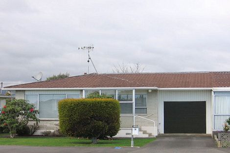 Photo of property in 62 Weraroa Road, Levin, 5510
