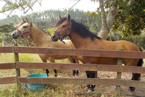 Photo of property in 677 Paihia Road, Opua, Russell, 0272