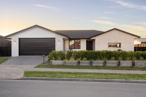 Photo of property in 16 Waghorn Street, Pyes Pa, Tauranga, 3112