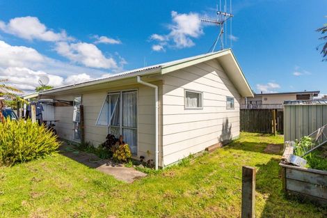Photo of property in 179 Tiro Tiro Road, Levin, 5510