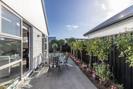 Photo of property in 19 Waiotahi Road, Kaiapoi, 7630