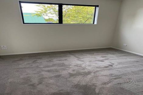 Photo of property in 3/18 Cross Street, Phillipstown, Christchurch, 8011