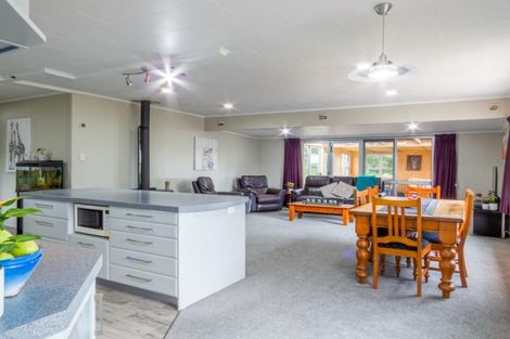 Photo of property in 253a East Bank Road, Edgecumbe, Whakatane, 3193