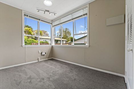 Photo of property in 14 Fifth Avenue, Mount Albert, Auckland, 1025