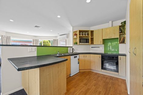 Photo of property in 19 Ballymena Drive, Belfast, Christchurch, 8051