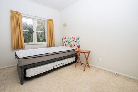 Photo of property in 17 Sillary Street, Hamilton East, Hamilton, 3216