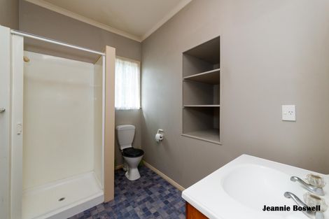 Photo of property in 183 Ruahine Street, Roslyn, Palmerston North, 4414